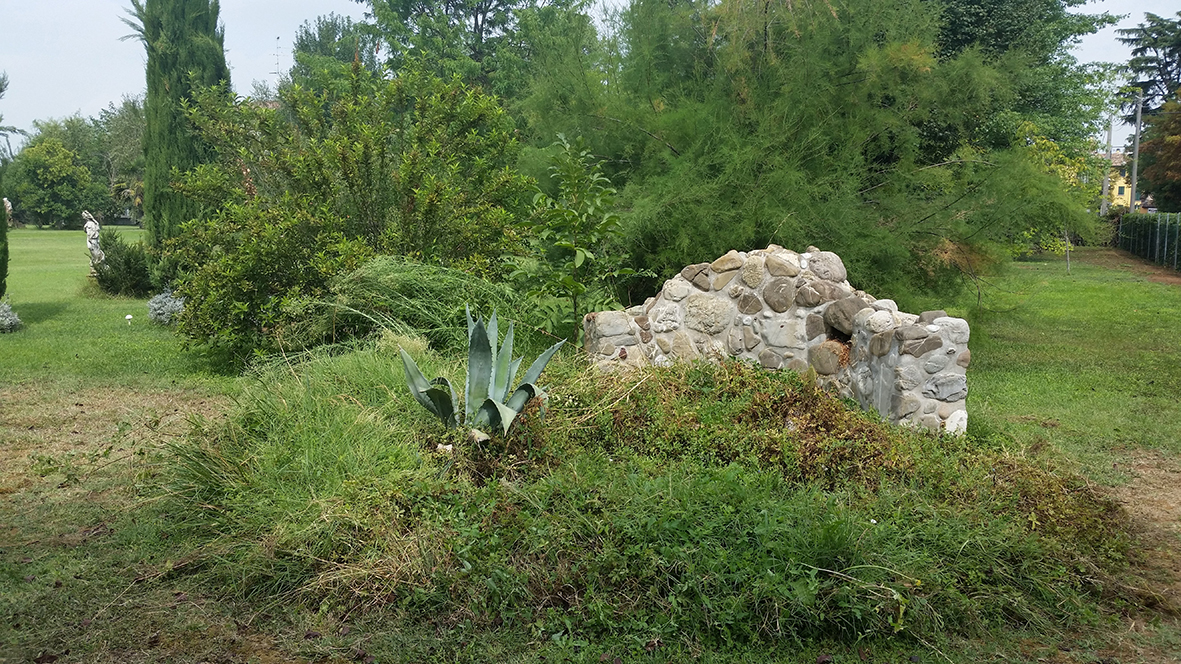 Esempi Aiuole Giardino: Crea un'Esplosione di Colori all'Esterno