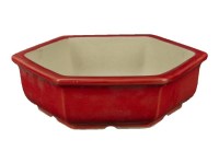 Vasi per bonsai: Vaso Giapponese rettangolare in plastica marrone per bonsai  24x17x7,5 cm - PG6