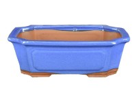 Vasi per bonsai: Vaso Giapponese rettangolare in plastica marrone per bonsai  24x17x7,5 cm - PG6