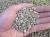 Zeolite & pomice 3/7 mm (circa 31 kg - 33 lt), ammendante per piante