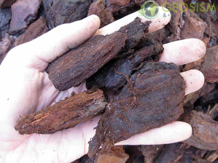 Corteccia di Pino per Orchidee Pine Bark