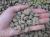 Zeolite & pomice 7/12 mm (pallet da 40 sacchi da 33 lt), ammendante per piante