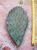 Opuntia engelmanni (n.1 pala) 15-25 cm, cactus, pianta grassa winter hard, resistente fino a -20°C
