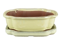 Oval pot + saucer for bonsai (mokko shape) in white glazed stoneware 23x18.5x6.5 cm - GA4VS